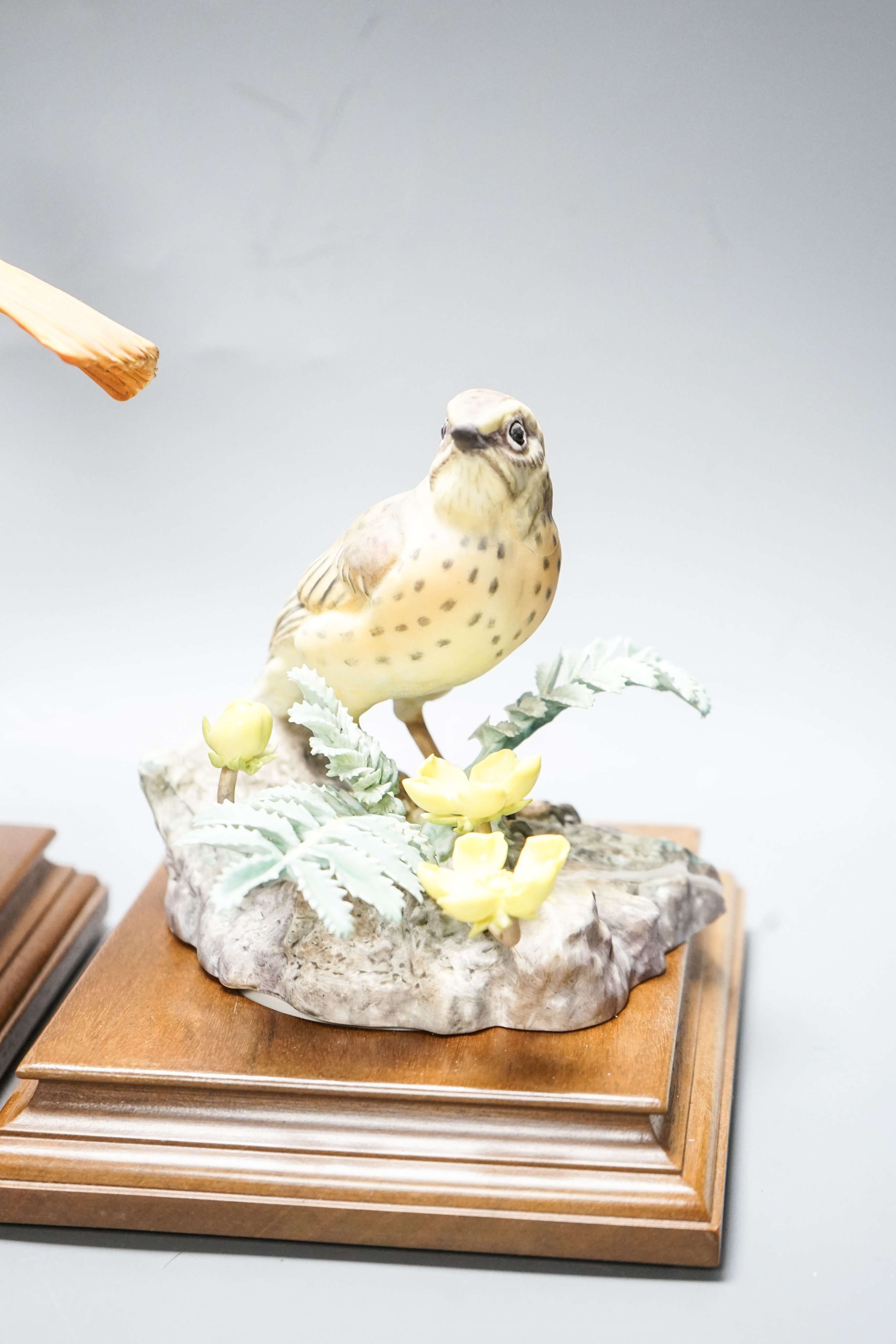 Three Royal Worcester porcelain groups of birds, modelled by Dorothy Doughty - ‘’Redstart and Gorse’’, (hen and cock) and ‘’Meadow Pipit and Silverweed’’, each with certificates